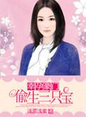 豪门一胎二宝系列