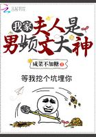 我家夫人是男频文大神免费阅读