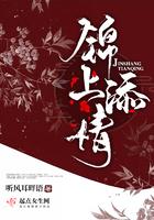 锦上添花by