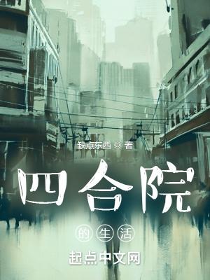 四合院的生活女主是谁