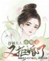 小娘子又拒婚了免费阅读