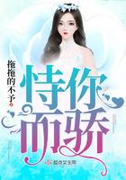 歌词恃宠而骄