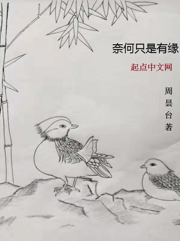 奈何缘浅下一句是什么