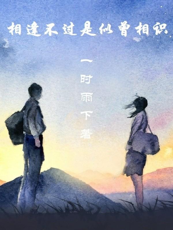 相逢不过是似曾相识什么意思