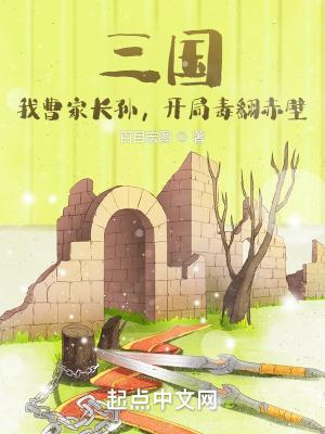 三国我曹家长孙开局毒翻赤壁免费阅读
