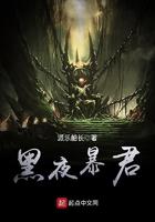 黑夜暴君光明骑士原文