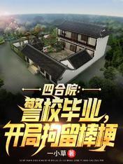 开局拘留棒梗全文免费