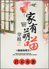 穿越之家有小夫郎作者夜悠