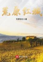 荒原红城全文免费