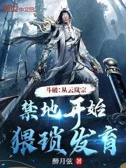 主角穿越斗破是云岚宗长老