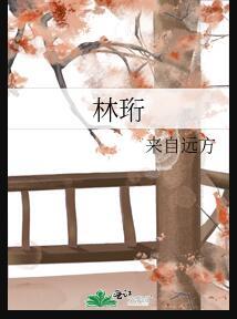 林珩陆予晚名字