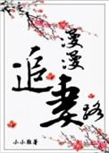 漫漫追妻路结局