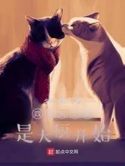 四合院之我是大厨开始 内容梗概