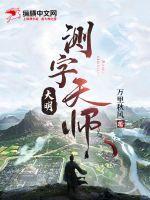大明测字天师TXT奇书网