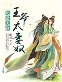 王爷太妻奴了