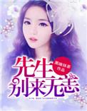 先生别来无恙免费阅读