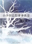 小少爷全文阅读