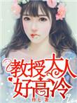 教授大人好高冷全文TXT