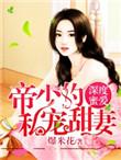 深度秘爱帝少的私宠甜妻