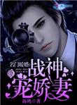 名门暖婚战神宠妻免费阅读全文