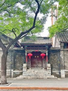 四合院傻柱的硬核人生