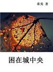 困在城中央讲的是什么