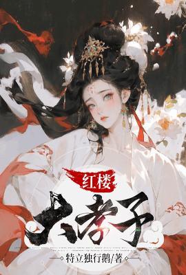 红楼大孝子txt