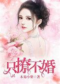 只撩不婚免费版
