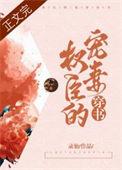 权臣的宠妻穿书 录仙