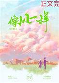 像风一样全文免费阅读
