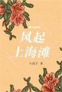 上海滩风云再起演员表