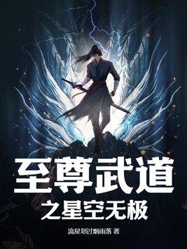 武道至尊级别