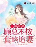 一胎双宝顾西城骆邵烈