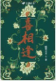 喜相逢代码对照表