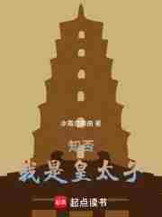 知否我是皇太子完正版