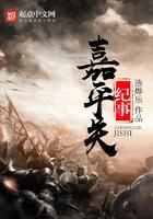 嘉平关纪事TXT