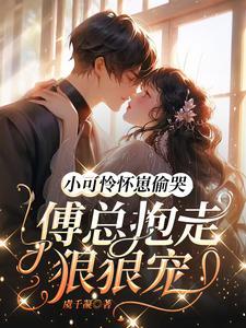 小可怜 by