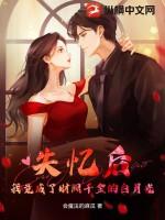 失忆之后我成了豪门贵妇