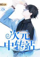 次元站正版