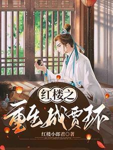 穿越红楼庶子风流 莫听穿林打叶声