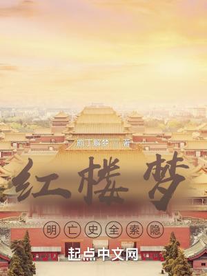 明史 红楼梦