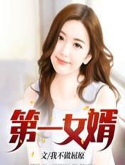 第一女婿完整版txt
