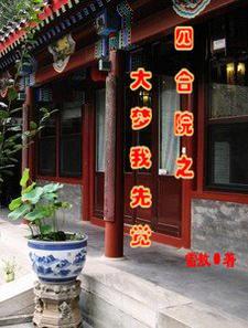 四合院之大学生