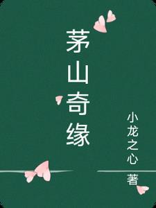 茅山奇闻录电影免费