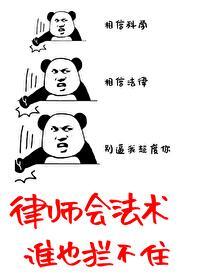 律师懂法律吗