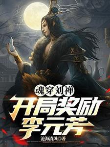 魂穿刘禅开局安居平五路