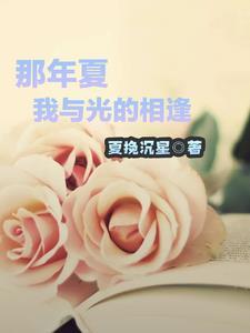 那年夏天我和你