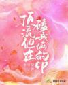 顶流他图我