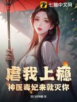 神医毒妃记
