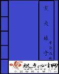 宠夫免费阅读
